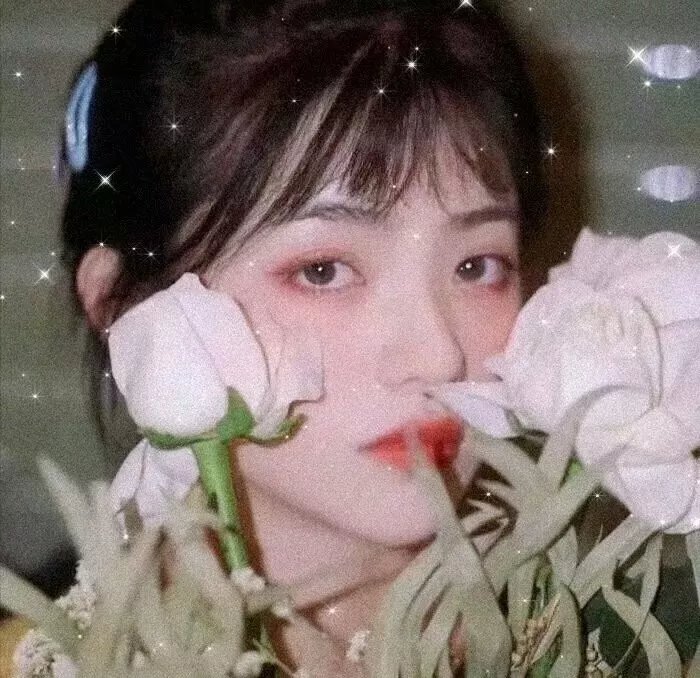 夏日奇妙书